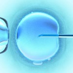 embryonic-stem-cell