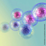 img_stem-cell-researchlg_1