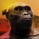 Australopithecus_afarensis_560